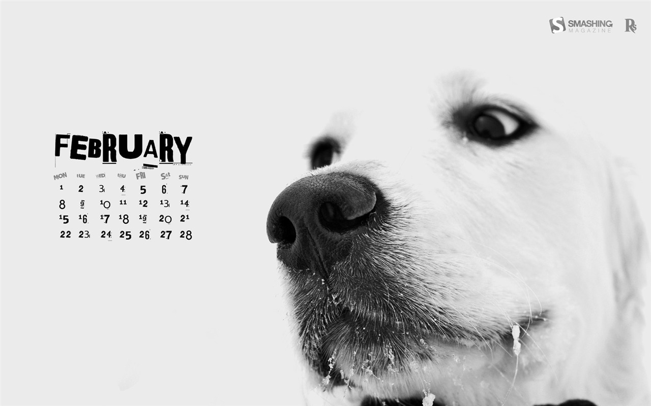 února 2010 Kalendář Wallpaper Creative #14 - 1280x800