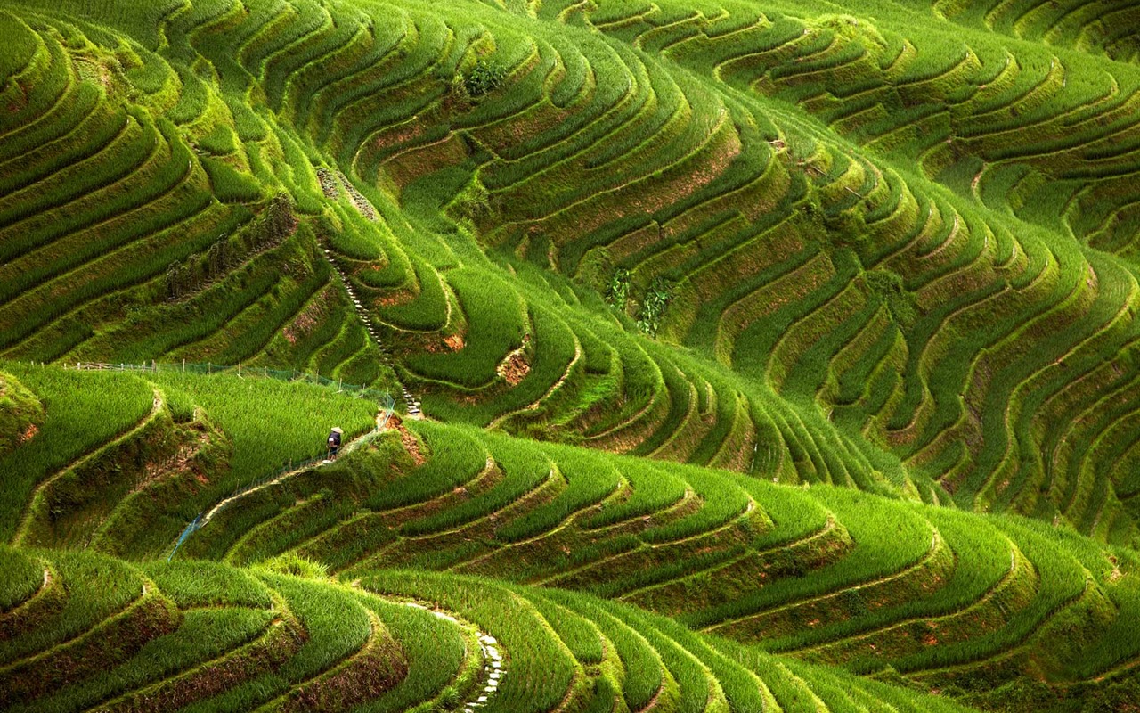 Wallpaper World geographical scenery Posts (2) #19 - 1280x800
