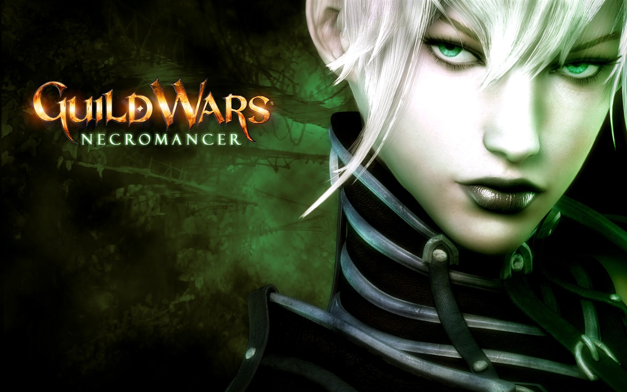 Guildwars tapety (1) #15 - 1280x800