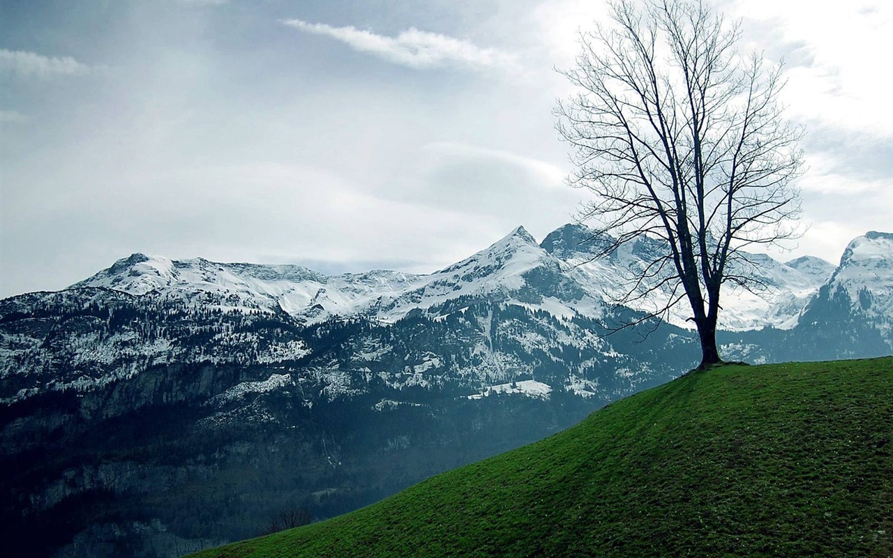 Wallpaper World geographical scenery Posts (4) #18 - 1280x800