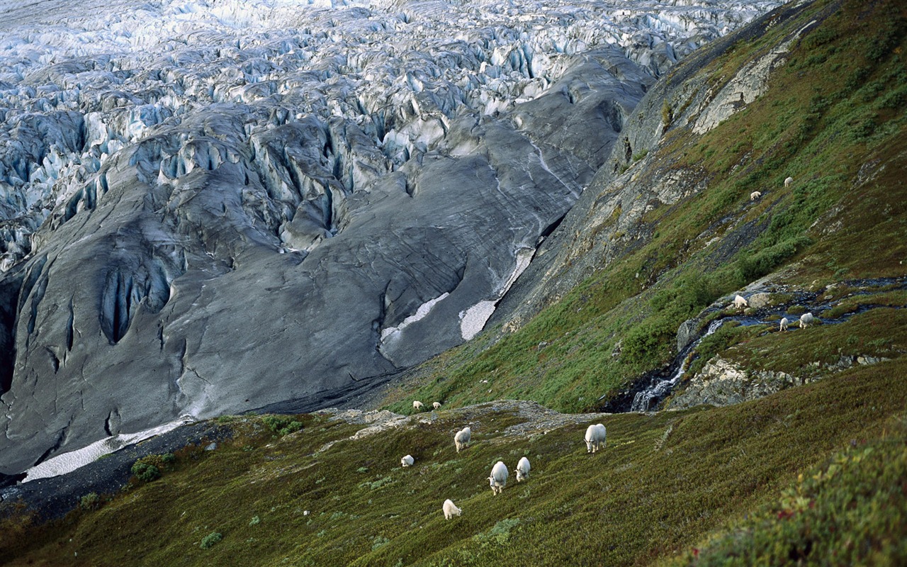 Fond d'écran paysage de l'Alaska (1) #8 - 1280x800
