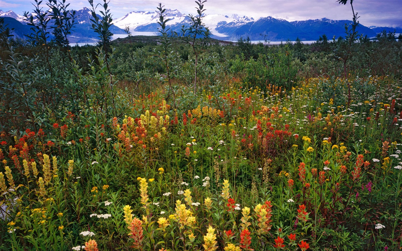 Alaska scenery wallpaper (1) #16 - 1280x800