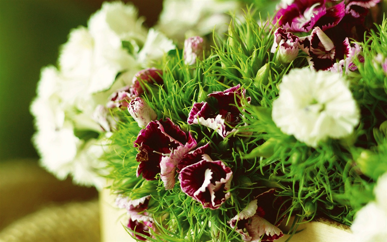 Widescreen wallpaper flowers close-up (3) #8 - 1280x800