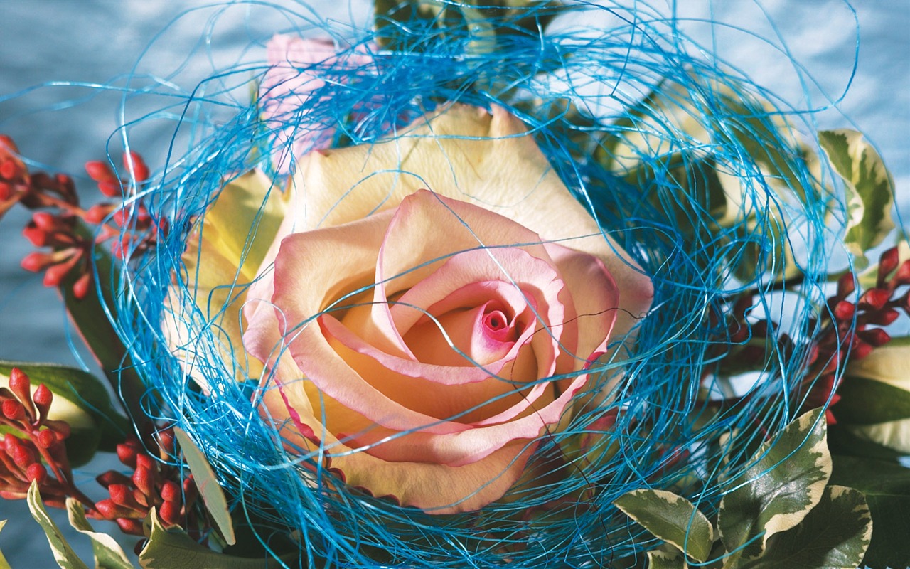 Širokoúhlý tapety květiny close-up (3) #9 - 1280x800