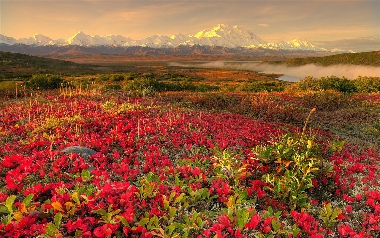 Fond d'écran paysage de l'Alaska (2) #6 - 1280x800