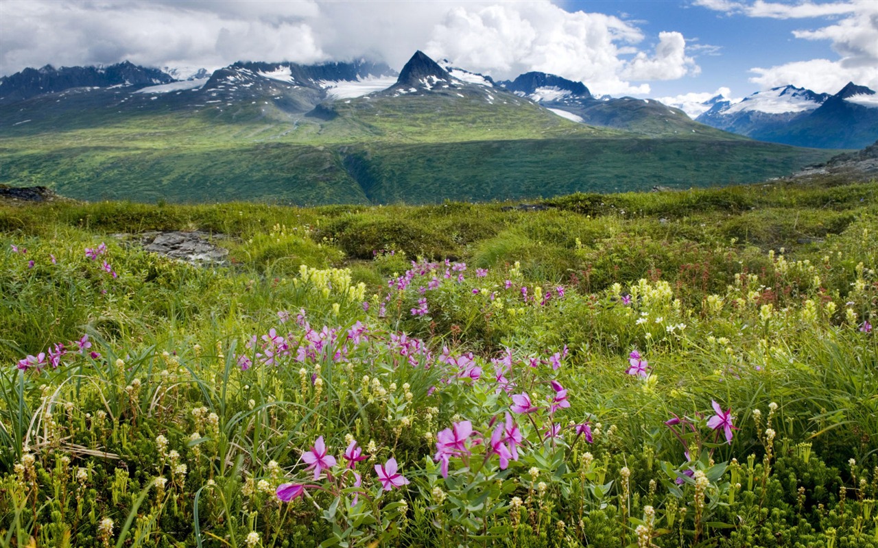 Fond d'écran paysage de l'Alaska (2) #12 - 1280x800