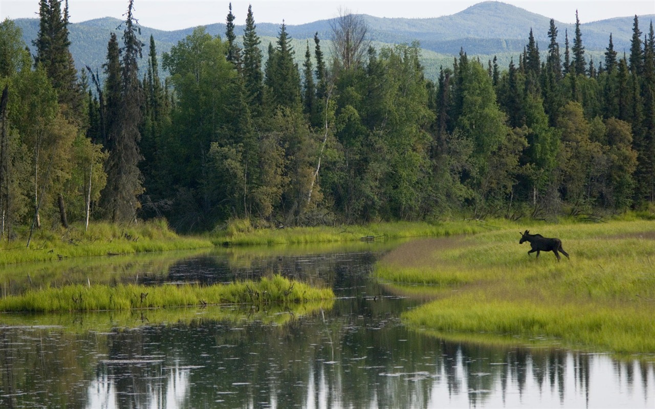 Fond d'écran paysage de l'Alaska (2) #14 - 1280x800