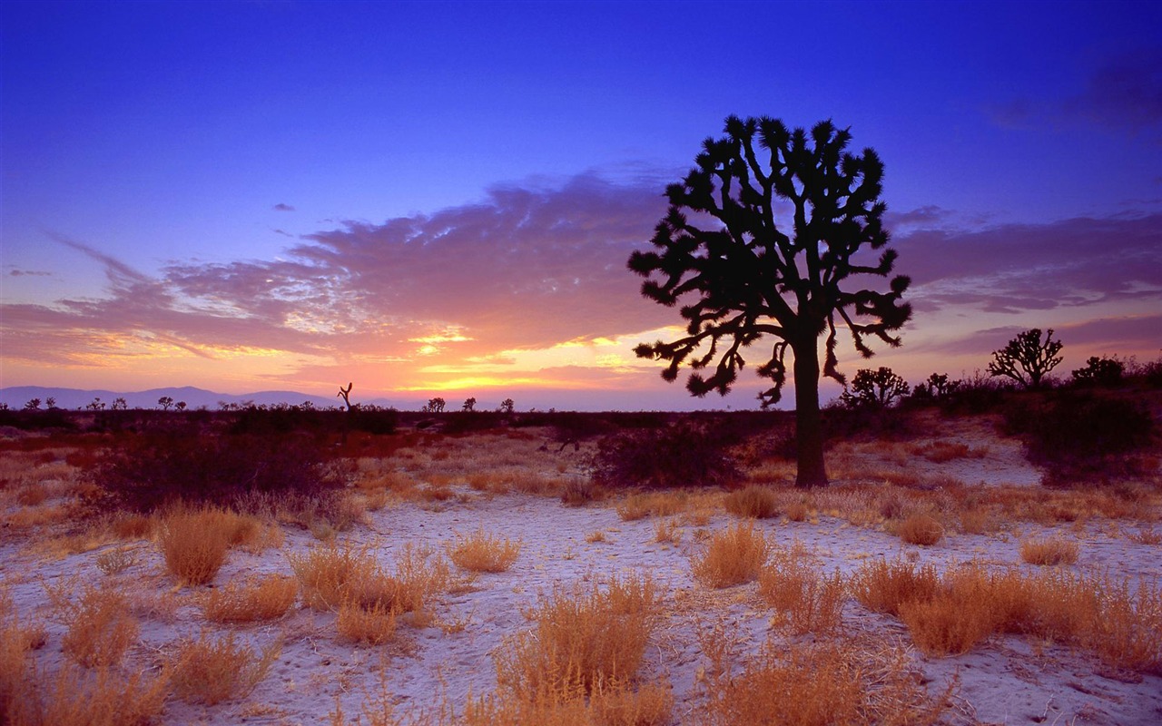 California Scenery Wallpapers (1) #14 - 1280x800