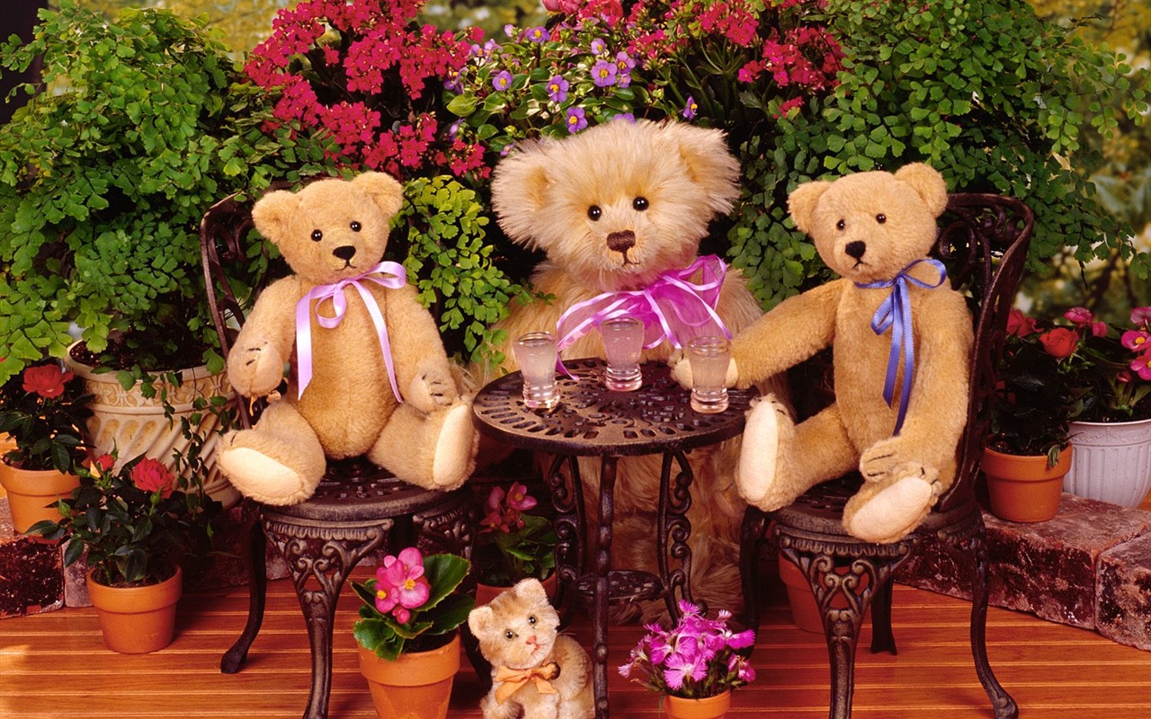 Gift Bear wallpaper #3 - 1280x800