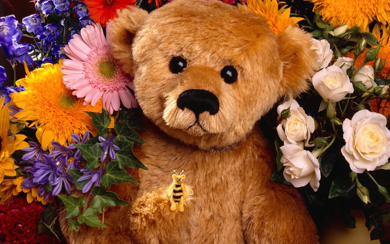 Gift Bear wallpaper #8 - 1280x800