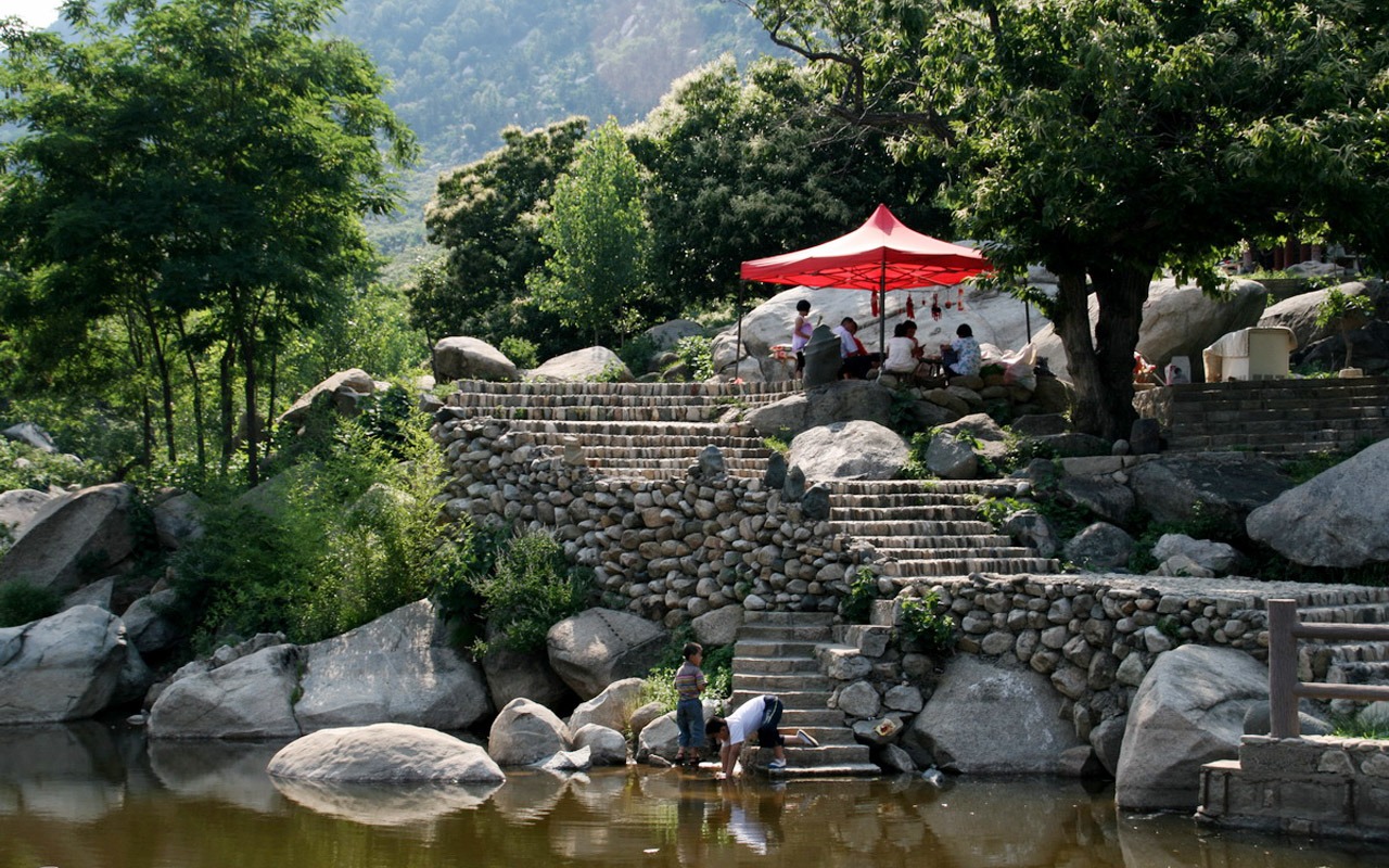 Mountain Song birthplace (Minghu Metasequoia works) #5 - 1280x800