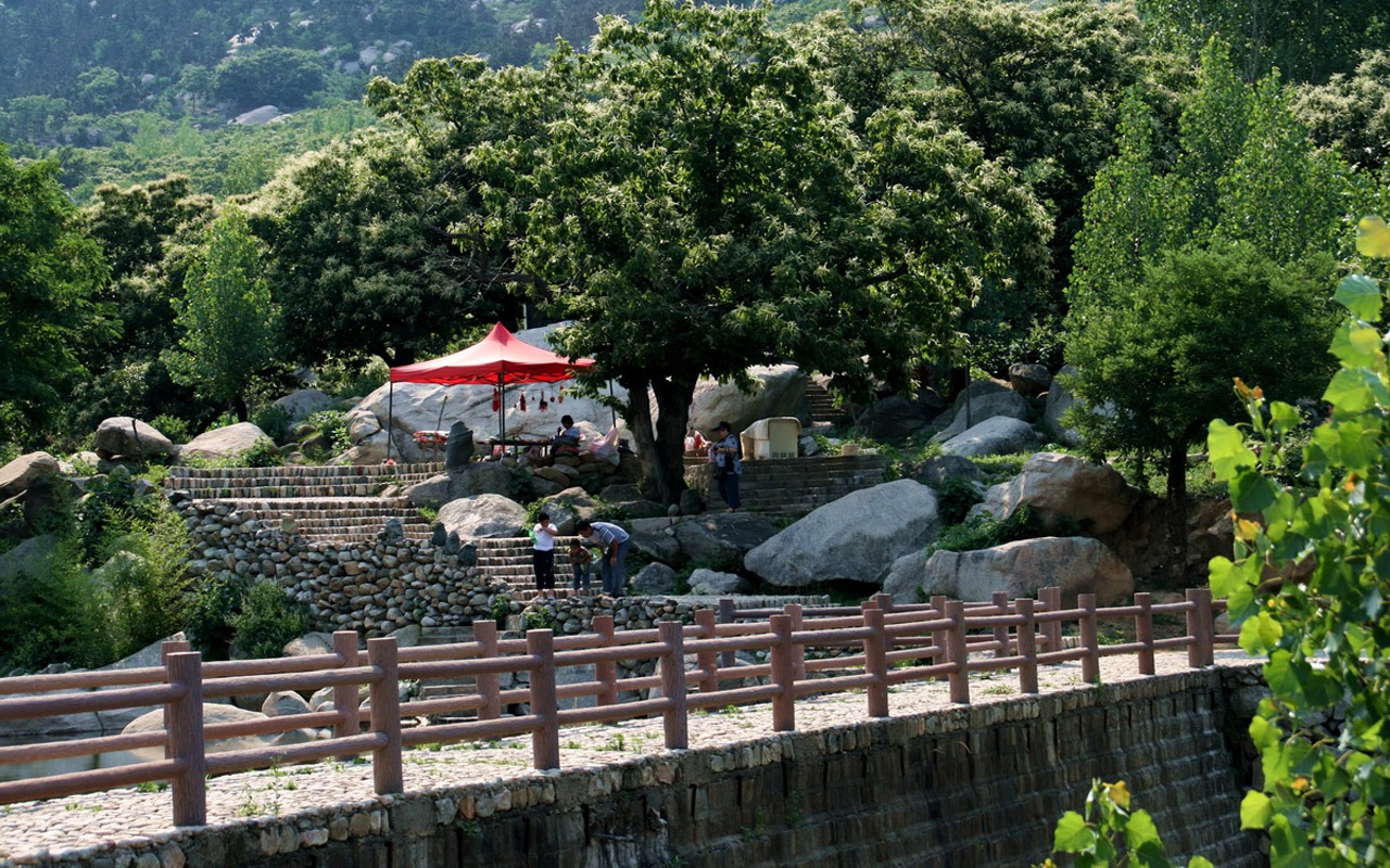 Mountain Song birthplace (Minghu Metasequoia works) #12 - 1280x800