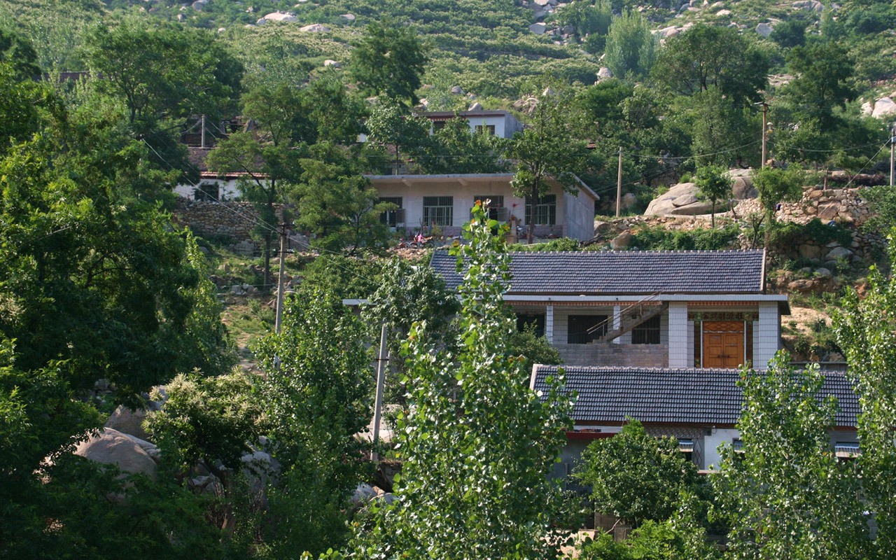 Mountain Song birthplace (Minghu Metasequoia works) #13 - 1280x800