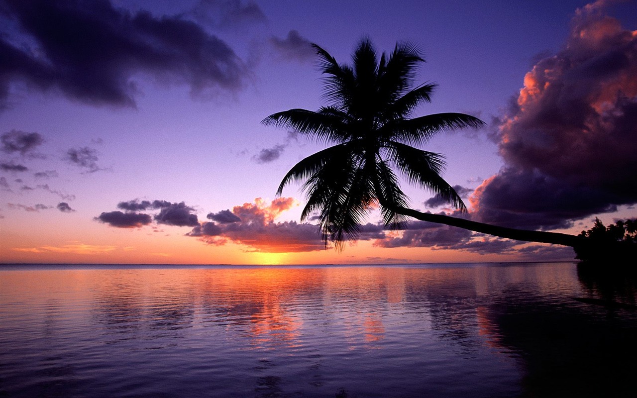 Beach ostrov tapety (2) #1 - 1280x800