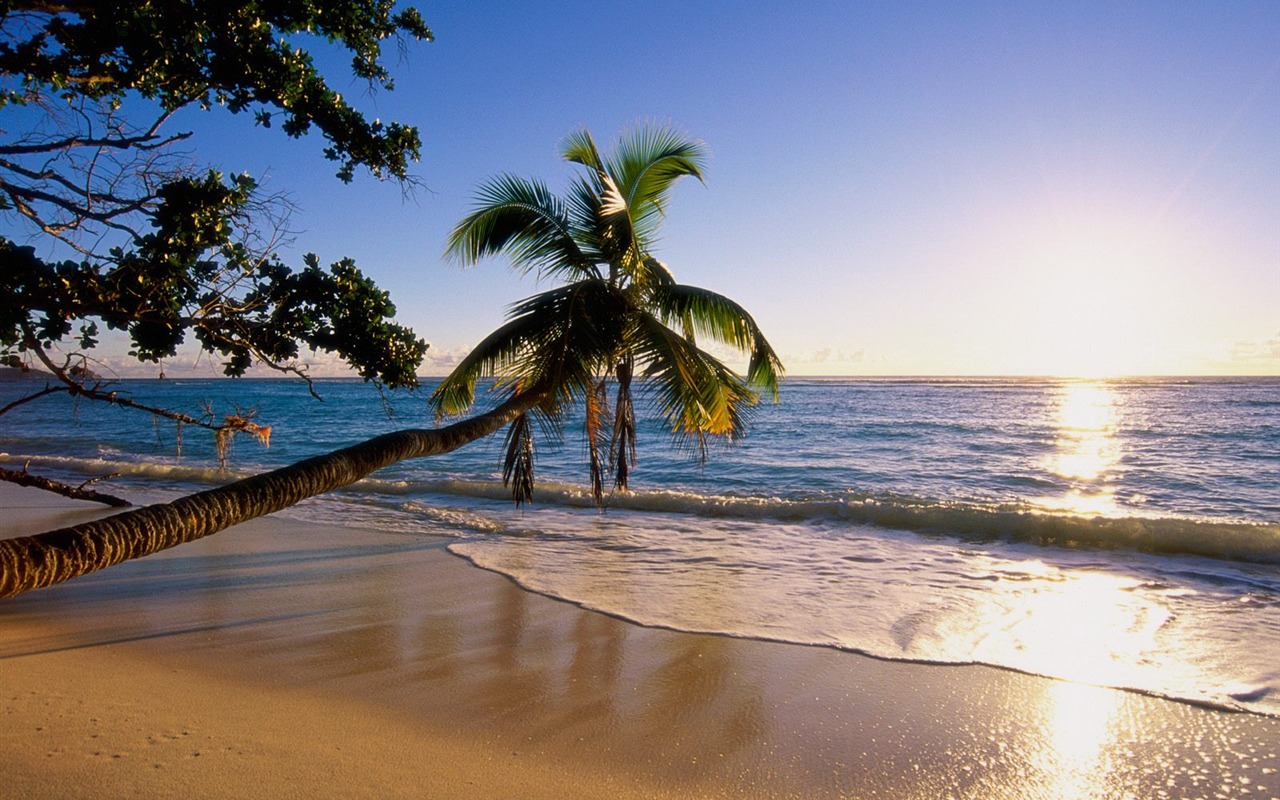 Beach ostrov tapety (2) #13 - 1280x800