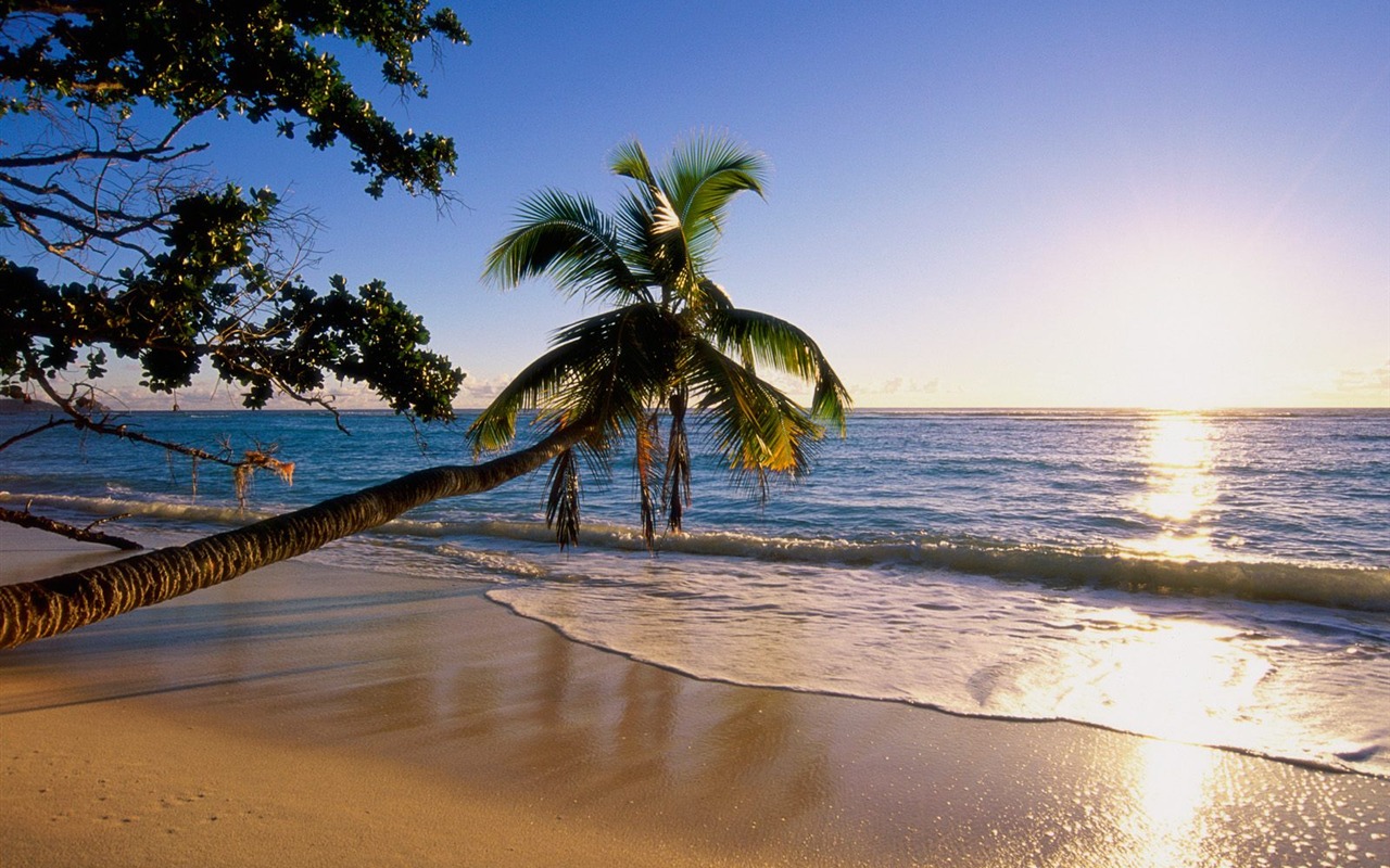 Beach Insel Wallpaper (2) #13 - 1280x800