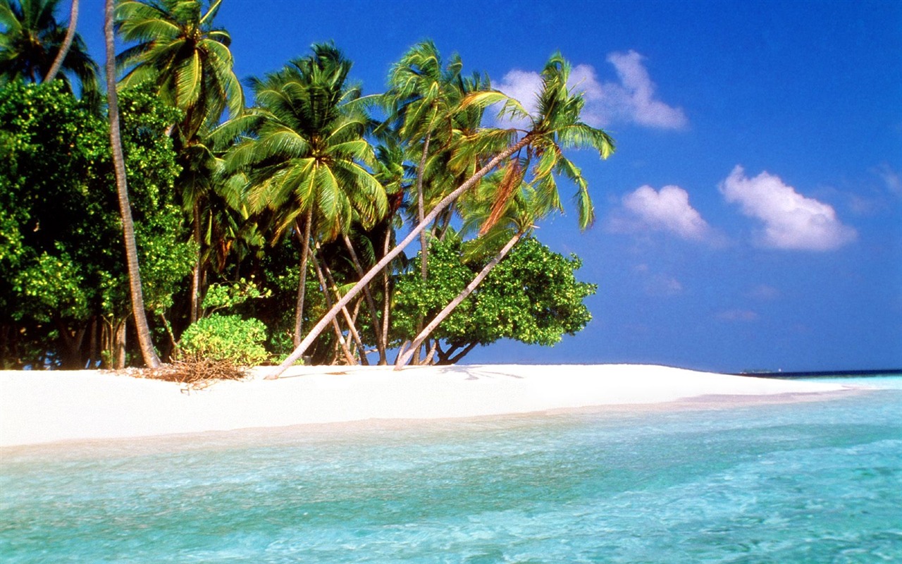 Beach Insel Wallpaper (2) #23 - 1280x800