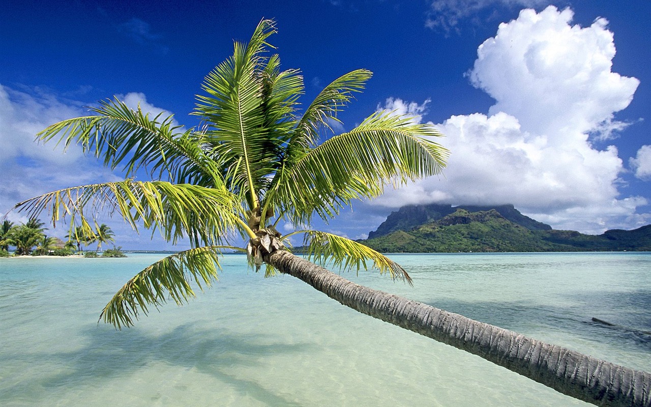 Beach Insel Wallpaper (2) #26 - 1280x800