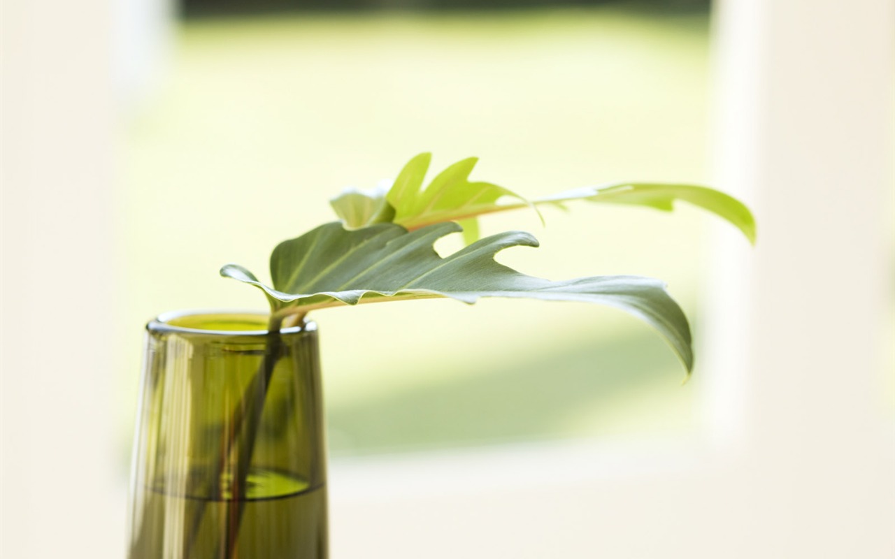 Indoor floral wallpaper (4) #20 - 1280x800