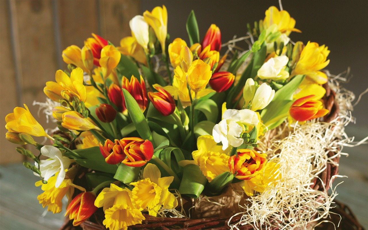 Widescreen wallpaper flowers close-up (6) #1 - 1280x800