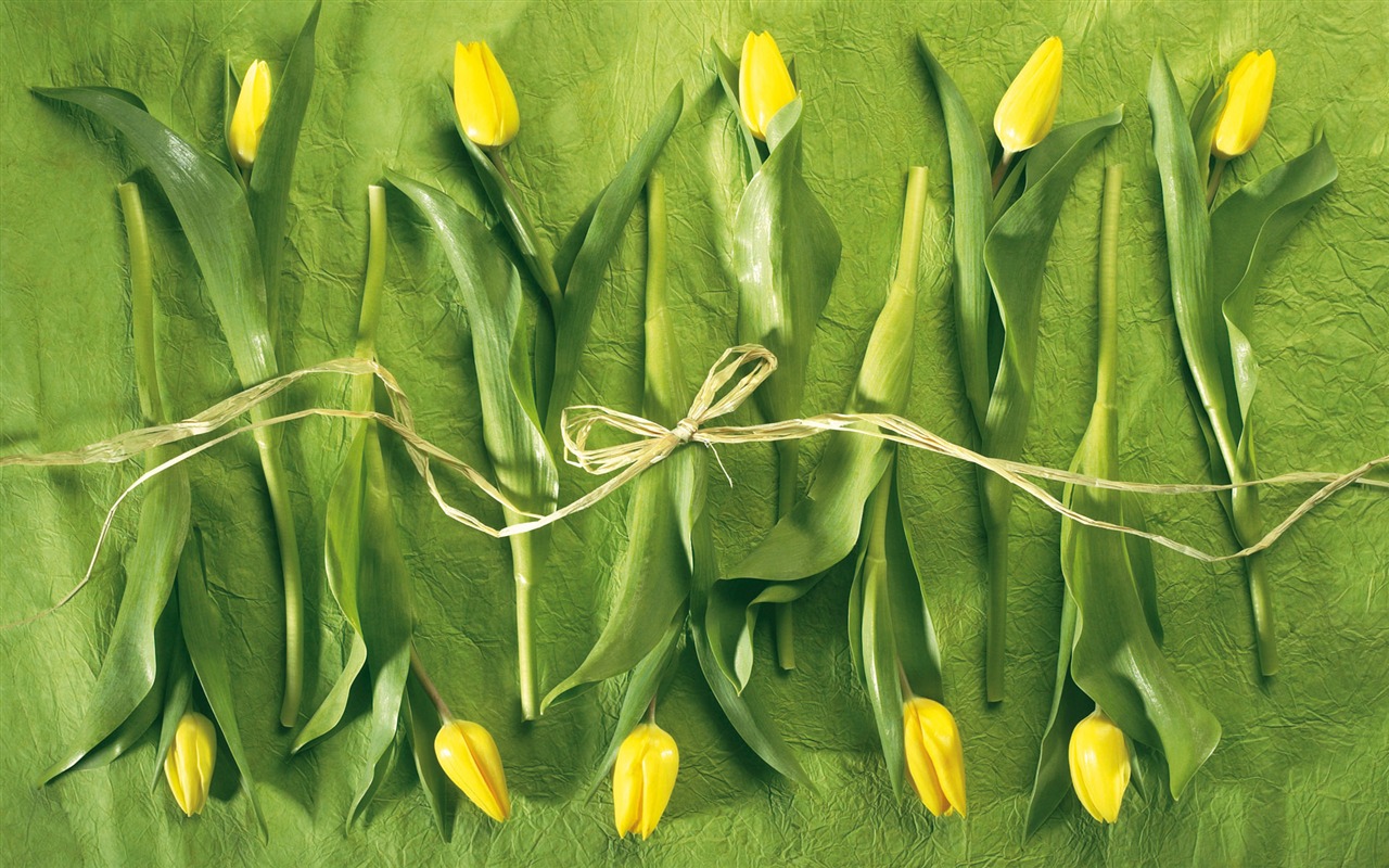 Widescreen wallpaper flowers close-up (6) #2 - 1280x800