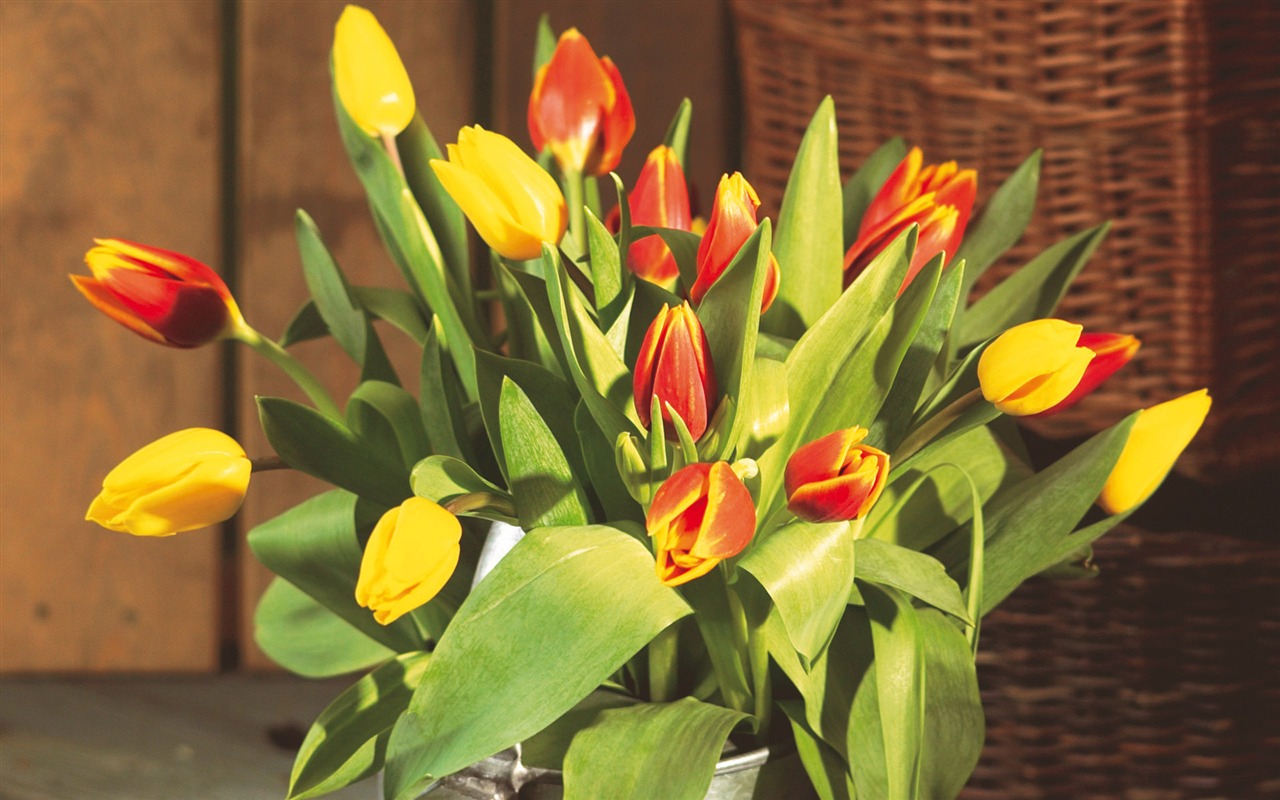 Widescreen wallpaper flowers close-up (6) #17 - 1280x800