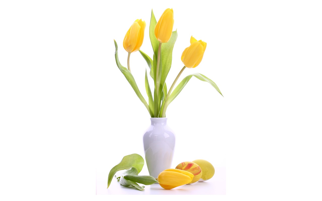 Velký tulipán tapetu (3) #2 - 1280x800