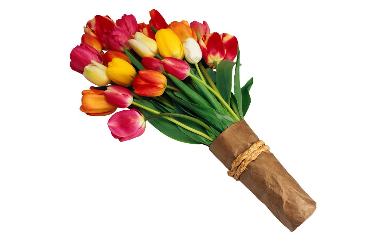 Velký tulipán tapetu (3) #9 - 1280x800