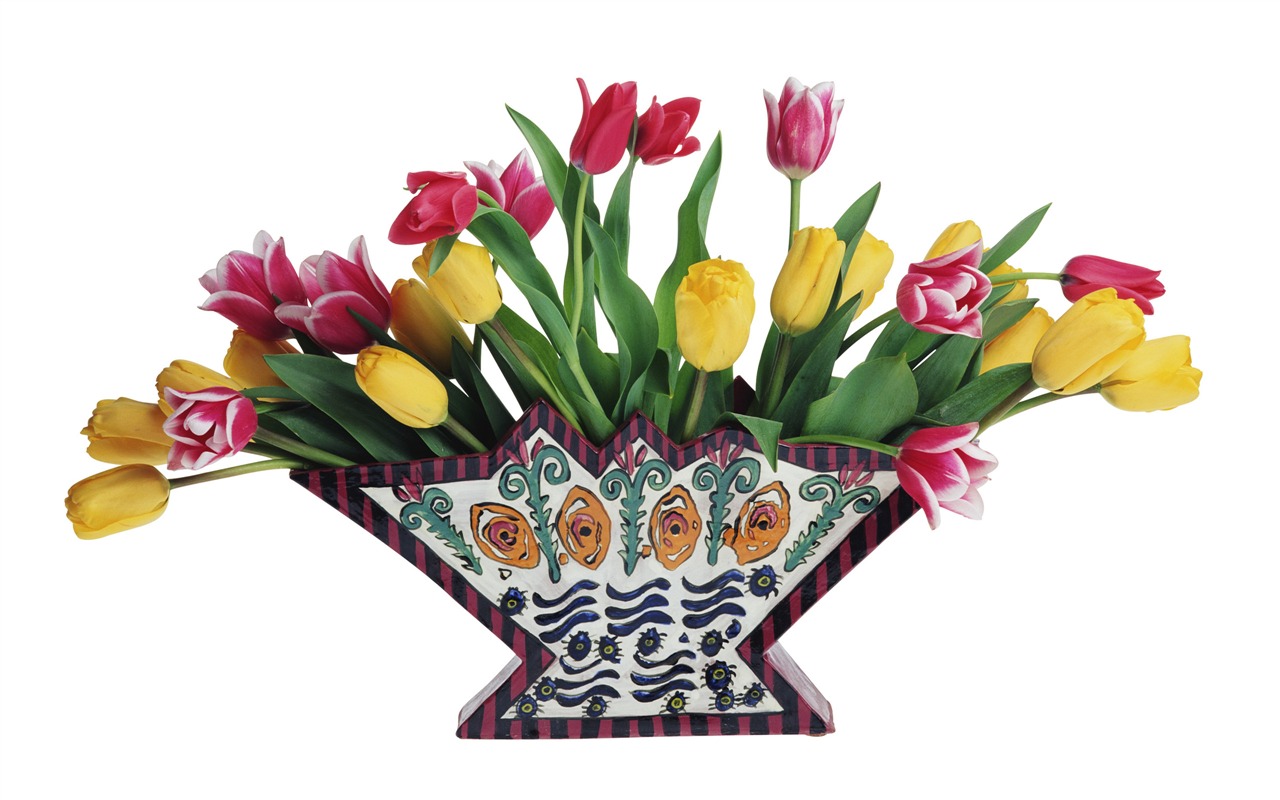 Velký tulipán tapetu (3) #15 - 1280x800