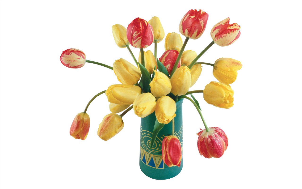 Velký tulipán tapetu (3) #16 - 1280x800