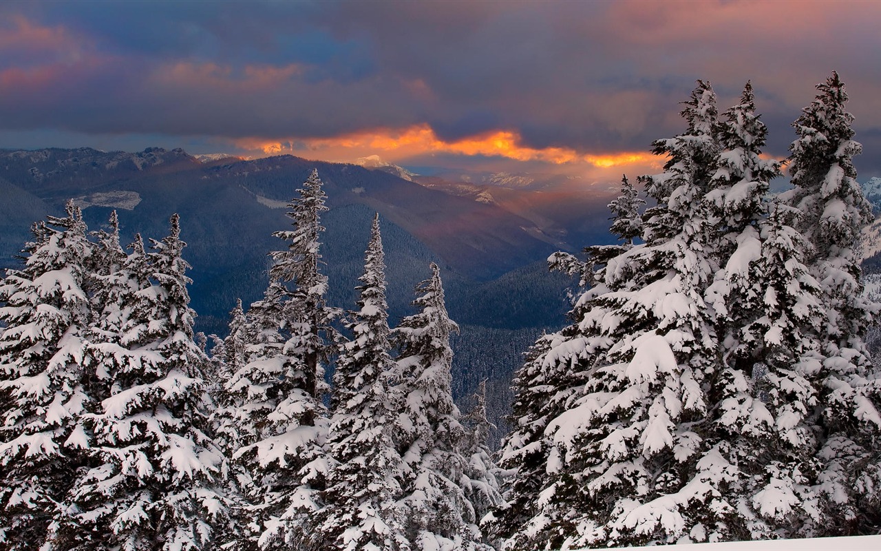 Scenery Collection Wallpapers (5) #13 - 1280x800