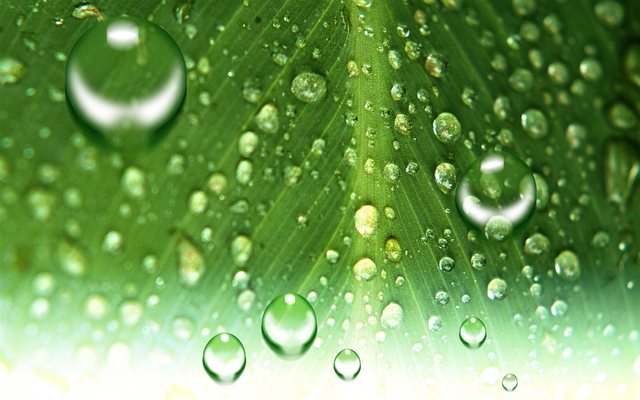 Colorful Water drops HD wallpaper #7 - 1280x800