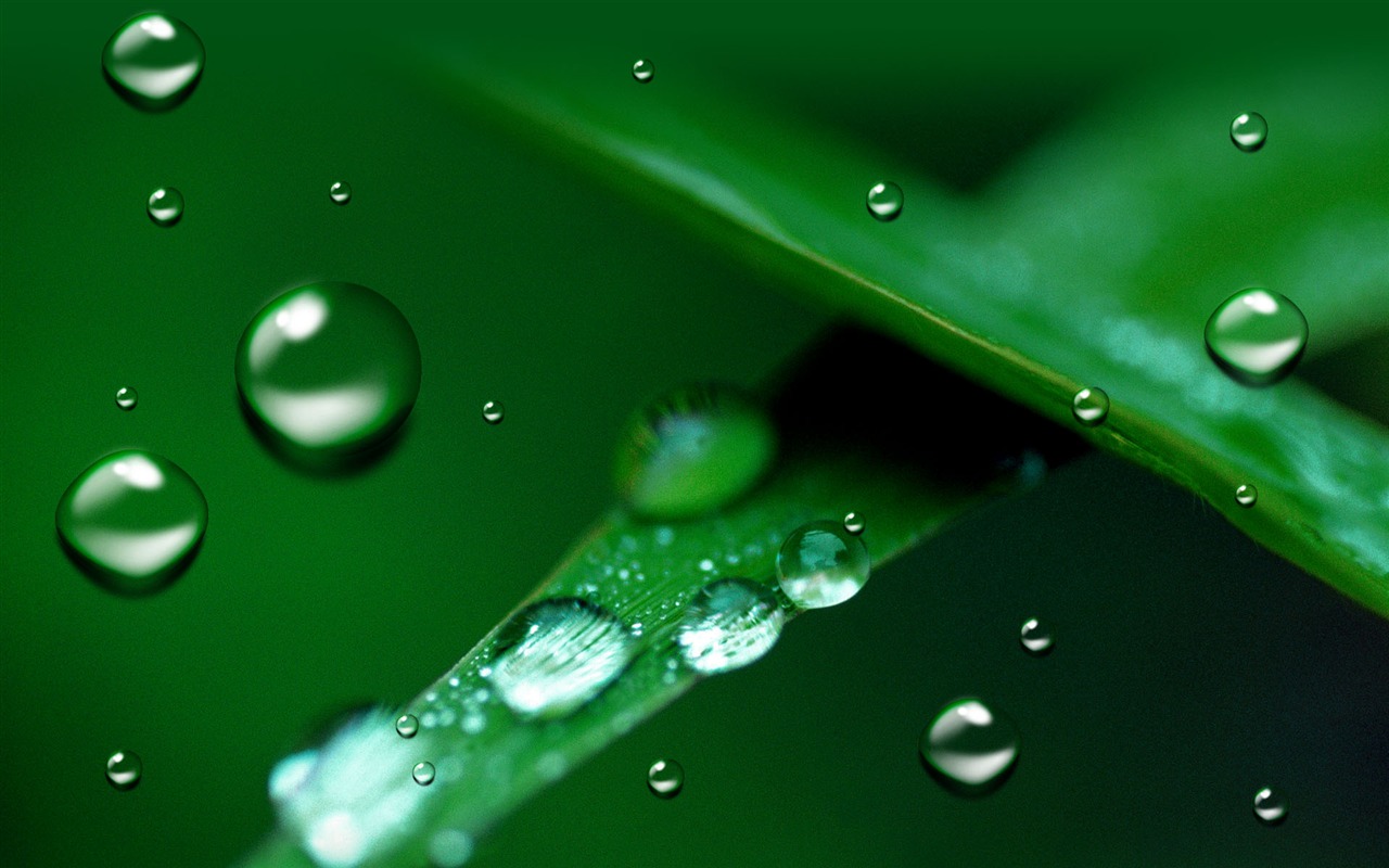 Colorful Water drops HD wallpaper #17 - 1280x800