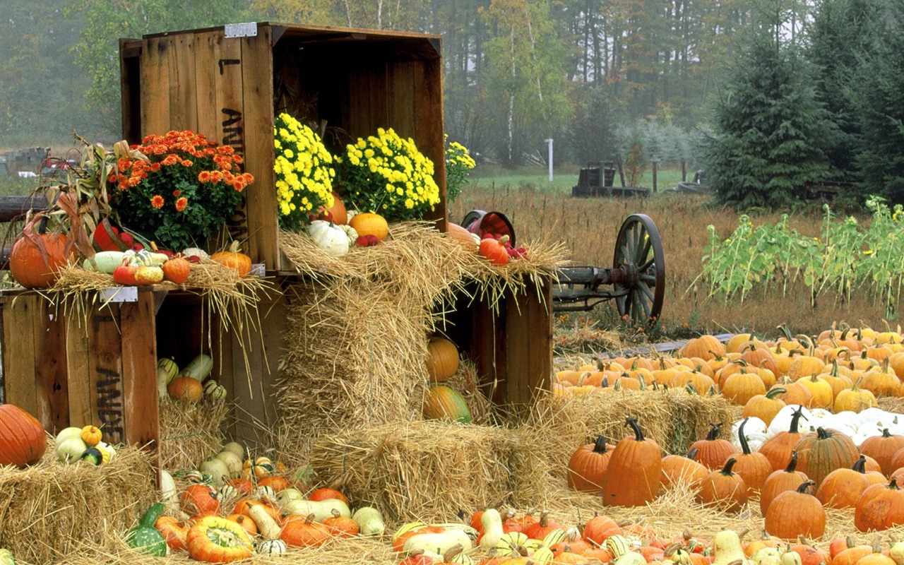 Fonds d'écran thème de l'Halloween (1) #7 - 1280x800