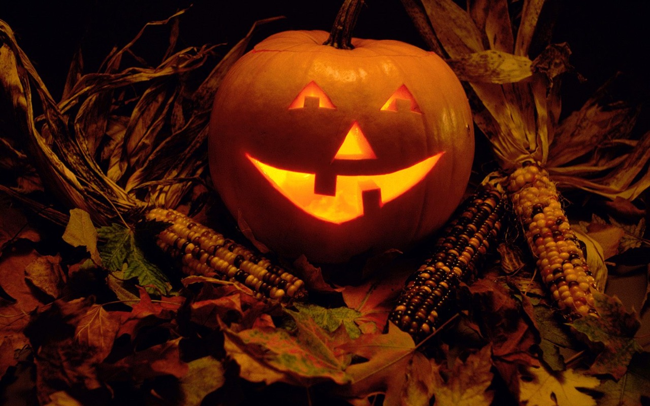 Halloween Theme Wallpapers (1) #9 - 1280x800