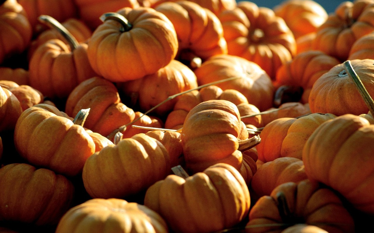 Halloween Theme Wallpapers (1) #12 - 1280x800