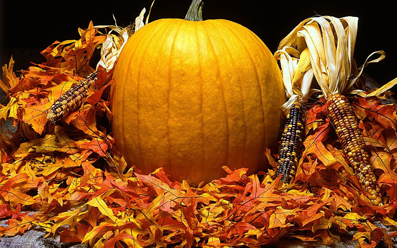Halloween Theme Wallpapers (1) #18 - 1280x800