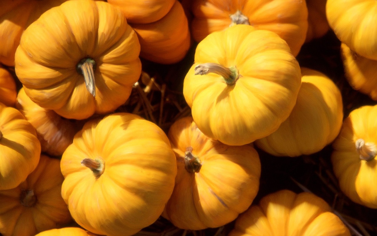 Halloween Theme Wallpapers (1) #19 - 1280x800