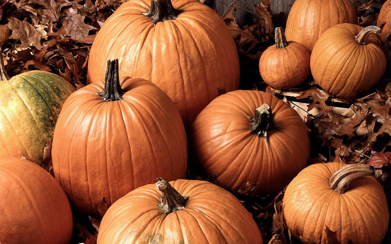 Halloween Theme Wallpapers (1) #22 - 1280x800