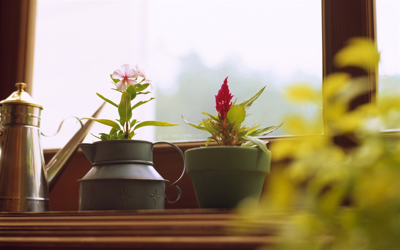 家居靜物 壁紙(17) #20 - 1280x800