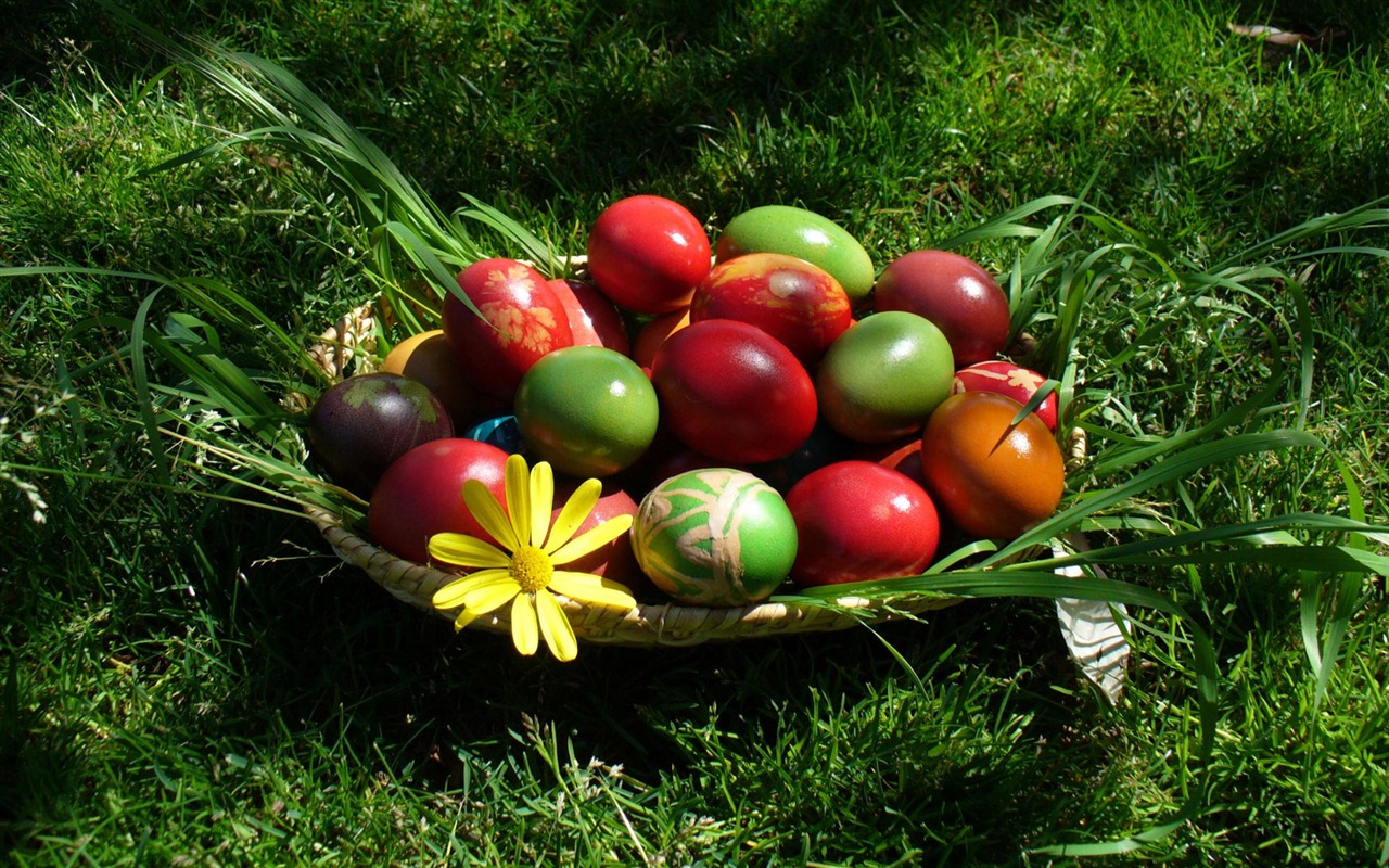 Velikonoční vajíčko tapetu (4) #9 - 1280x800