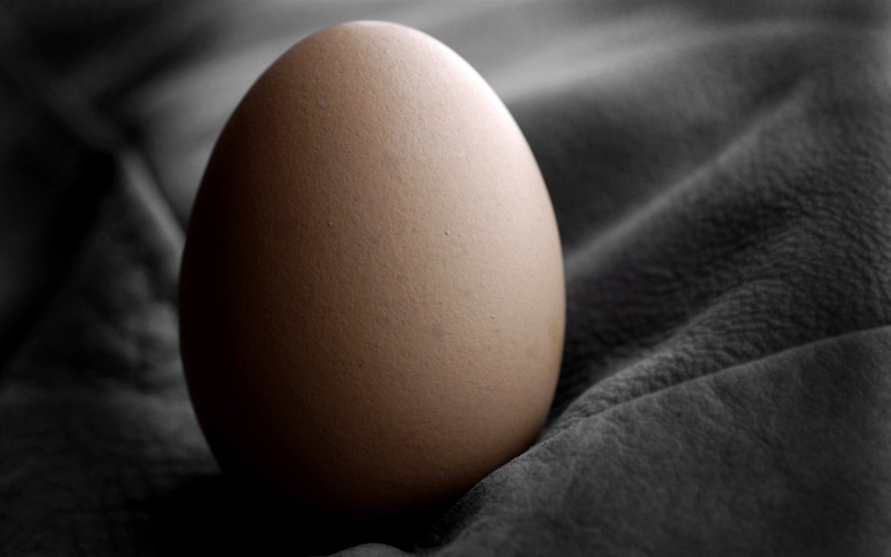 Huevo de Pascua fondo de pantalla (4) #16 - 1280x800