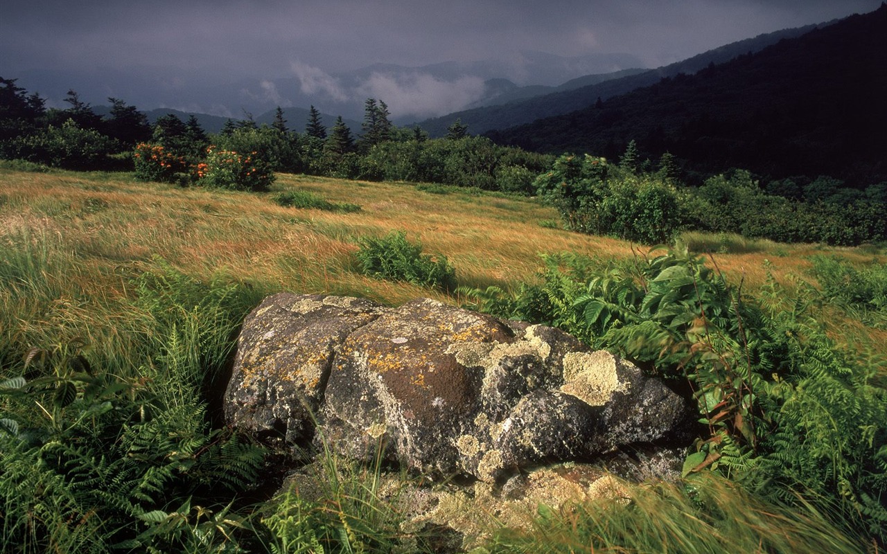 Webshots Scenery Wallpapers (13) #7 - 1280x800