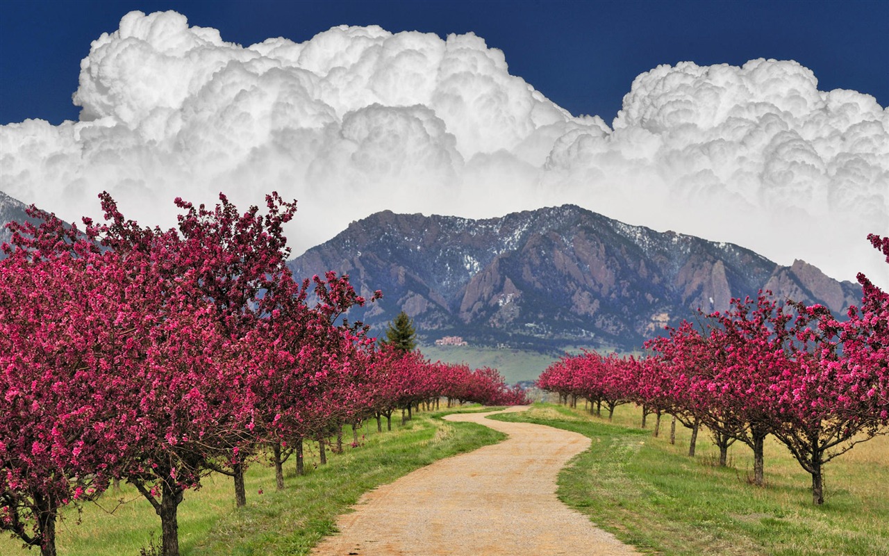 Scenery Collection Wallpapers (7) #20 - 1280x800