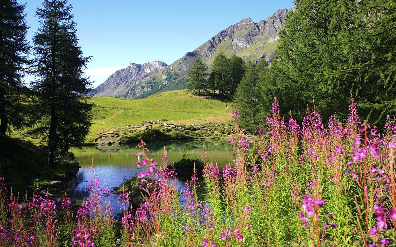 Webshots風光壁紙(14) #6 - 1280x800