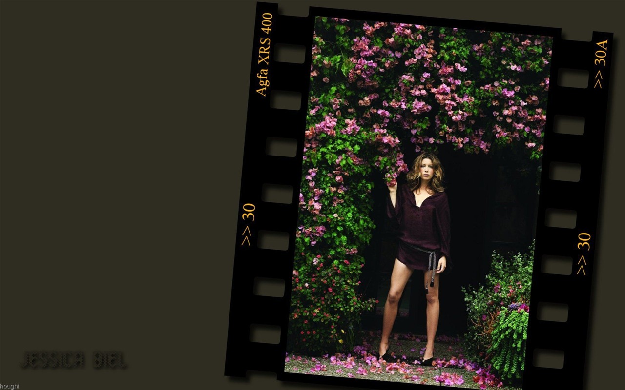 Jessica Biel hermoso fondo de pantalla #24 - 1280x800