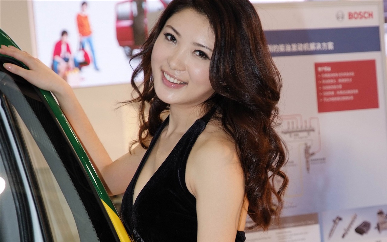 2010 Beijing International Auto Show beauty (rebar works) #22 - 1280x800