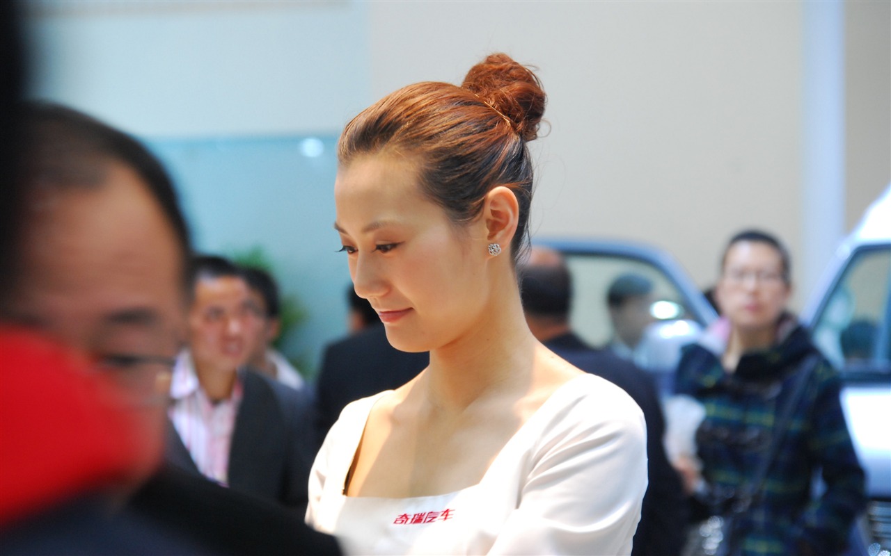 2010 Beijing International Auto Show (3) (z321x123 works) #14 - 1280x800