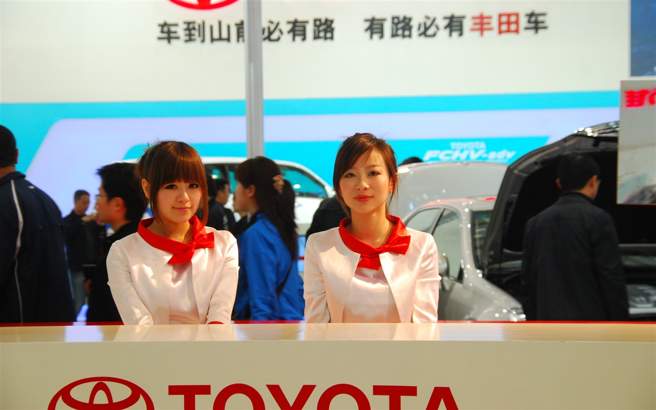 2010 Beijing International Auto Show (3) (z321x123 works) #25 - 1280x800