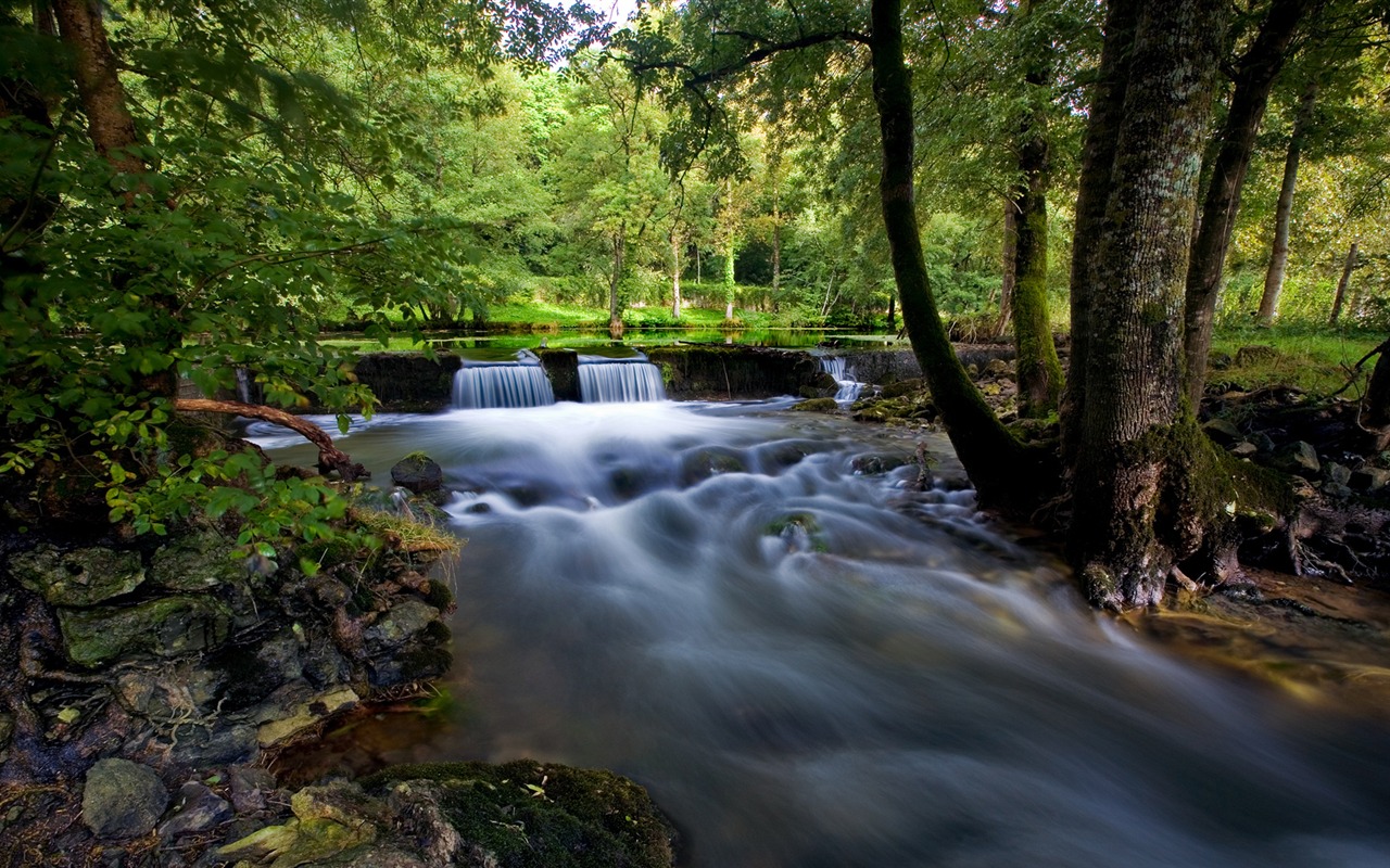 HD Fondos de la Naturaleza #21 - 1280x800